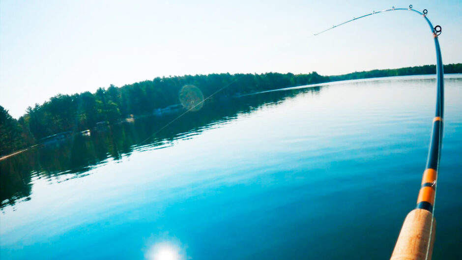 The Most Satisfying Hookset Ever #short