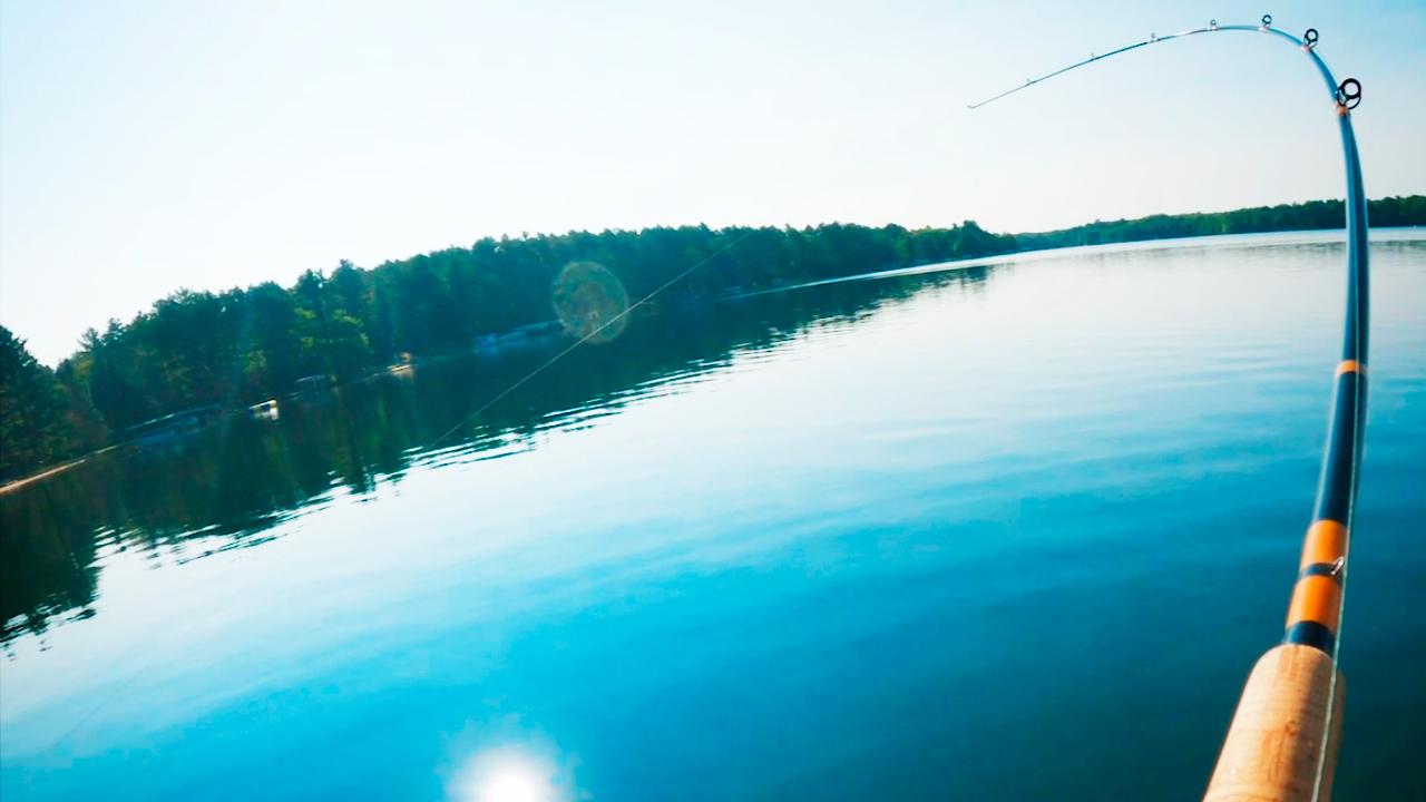 The Most Satisfying Hookset Ever #short