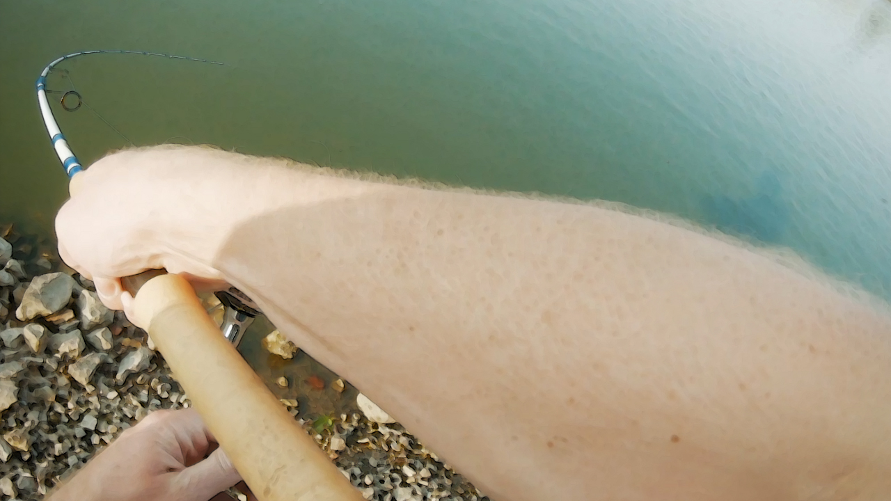 Z-Man Ned Rig TRD CrawZ #short