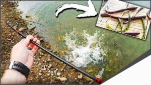 Illinois Largemouth Bass Fishing w/ Charlie’s Worms (LaSalle County) #short