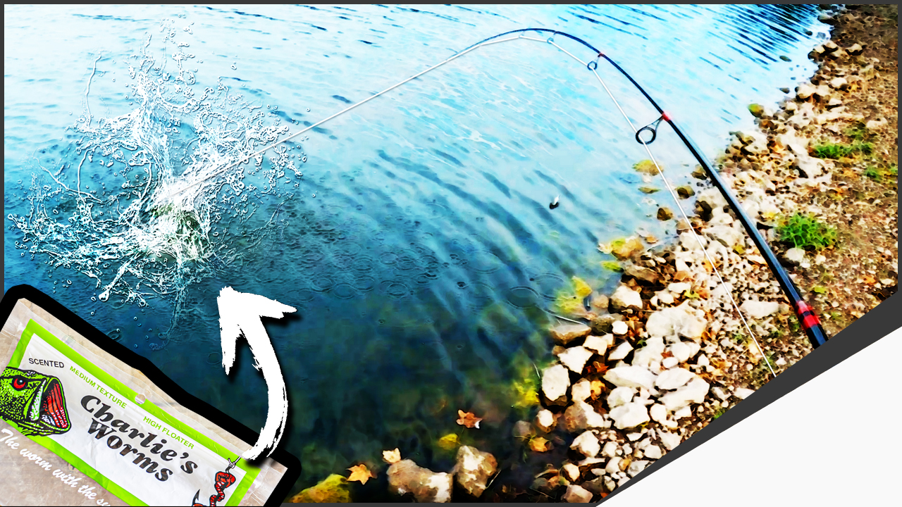 LaSalle County Bass Fishing w/ Charlie’s Worms #short