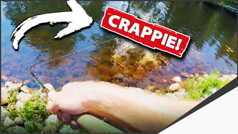 Crappie Fishing Secret