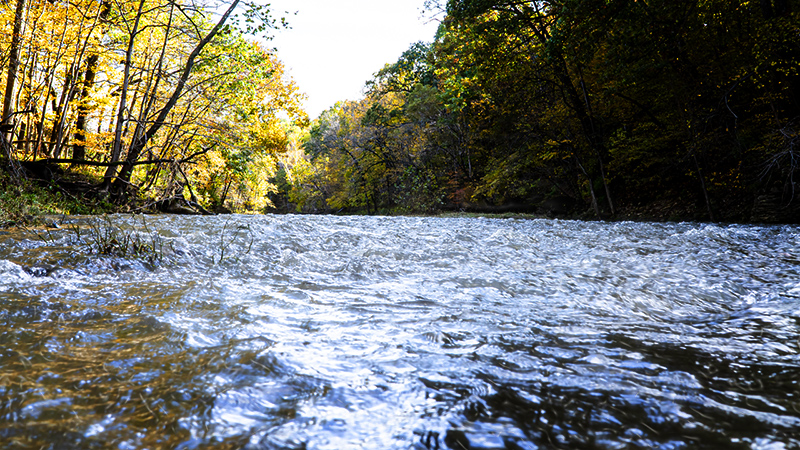 flooded illinois stream creek