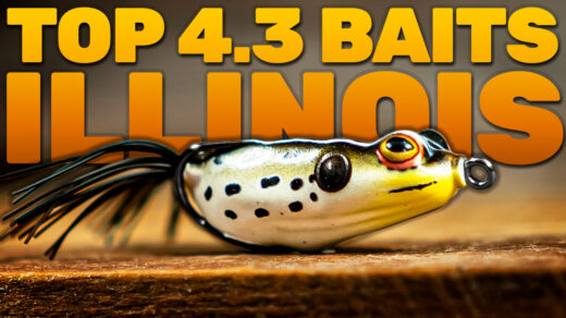 Top 4.3 Baits for Illinois Bass Fishing