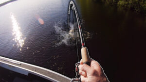 Surprise Double Up Big Largemouth Bass + Smallmouth Bass Fishing in Wisconsin #short