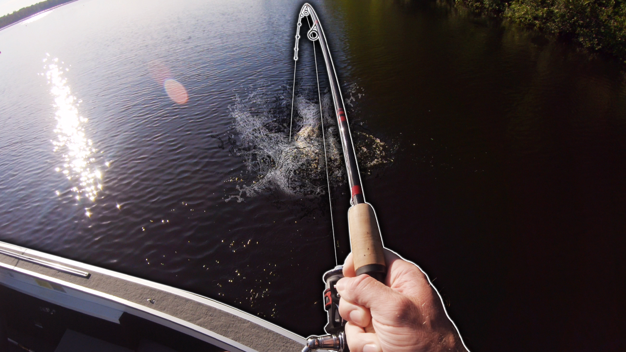 Surprise Double Up Big Largemouth Bass + Smallmouth Bass Fishing in Wisconsin