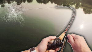 Largemouth Bass Fishing a Mann’s 1-Minus under Algae Bloom #short