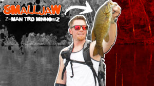 Beautiful Smallmouth Bass Snatches Z-Man TRD MinnowZ (Awesome Wisconsin Fishing!) #short