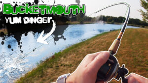 Largemouth Bass Fishing a YUM Dinger Stickbait on an Extremely Hot Morning (Bank Fishing) #short