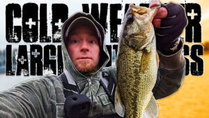 Cold Weather Largemouth Bass Fishing (Illinois Bank Fishing) #short