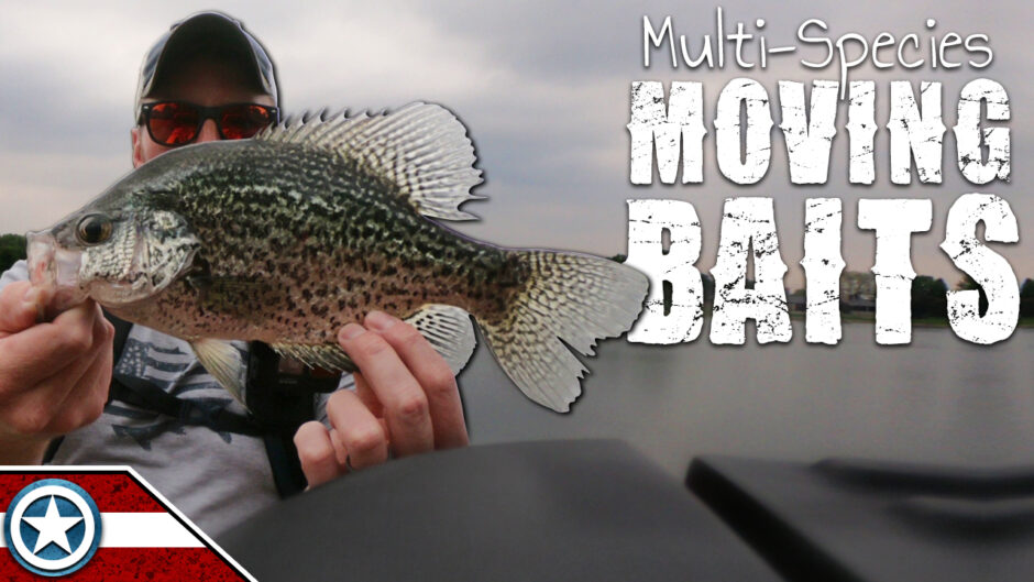S&B - Ep6 Midwest Fishing Multi-Species Moving Baits