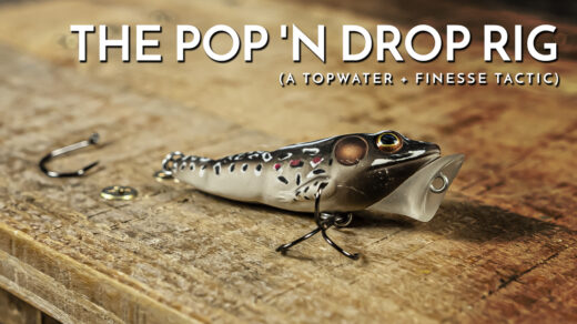 The Pop 'n Drop Rig by AJ Hauser