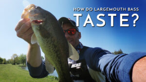 How Do Largemouth Bass Taste?