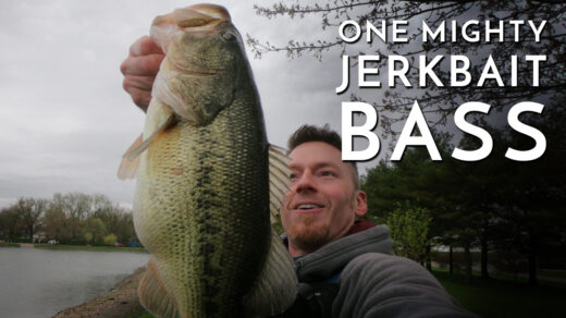 One Mighty Jerkbait Bass