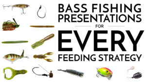 Popular Bass Fishing Presentations for EVERY Feeding Strategy