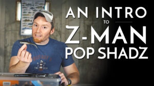 An Intro to Z-Man Pop ShadZ