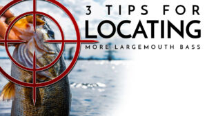 3 Tips for Locating More Largemouth Bass