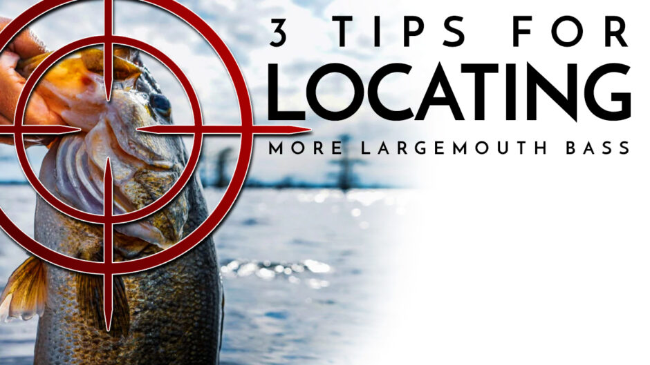 3 Tips for Locating More Largemouth Bass