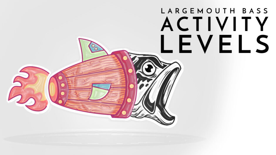 largemouth bass activity levels