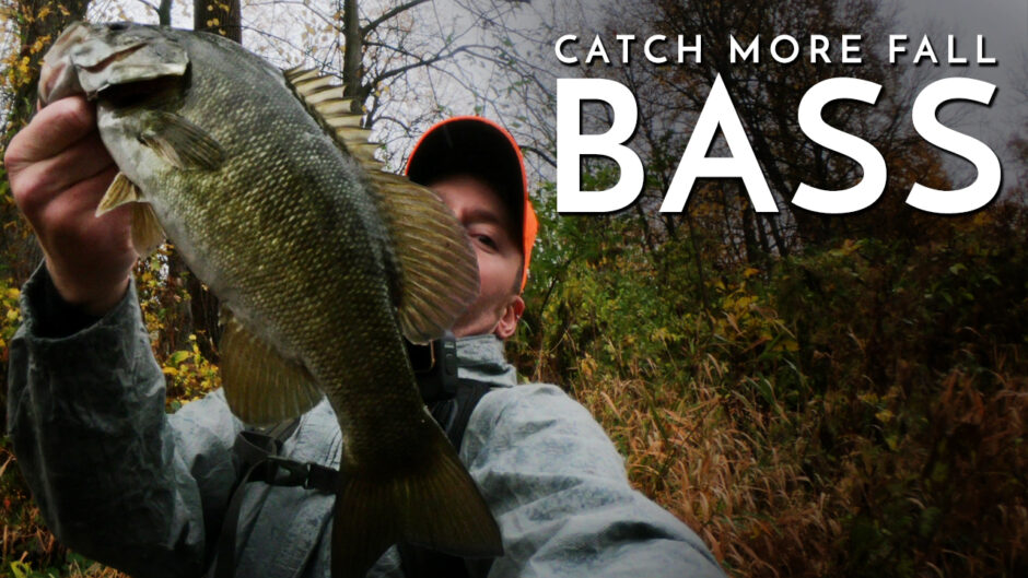 The Most Important Creek Fishing Tip for More Bass in the Fall