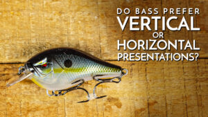 Do Bass Prefer Vertical or Horizontal Presentations?