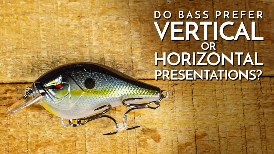 Do Bass Prefer Vertical or Horizontal Presentations