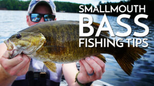 Smallmouth Bass Fishing Tips from Matt Straw (In-Fisherman)