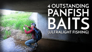 4 Outstanding Panfish Baits for Ultralight Fishing