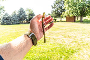 Grandebass Airtail Wiggler