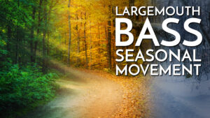 Largemouth Bass Seasonal Movement (Calendar & Patterns)
