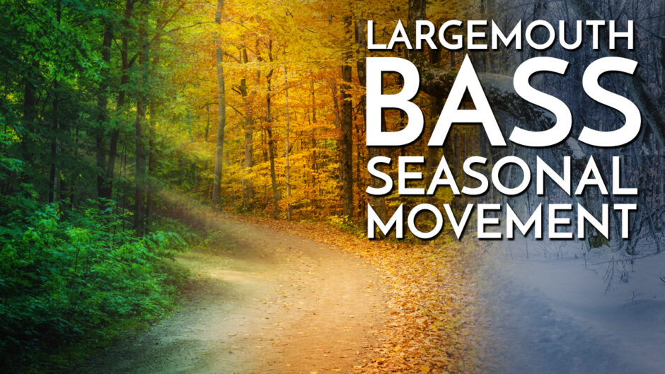 Largemouth Bass Seasonal Movement