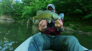 Illinois Creek Fishing Smallmouth Bass Pop 'n Drop