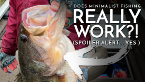 Reader Feedback: Does Minimalist Fishing REALLY WORK?!