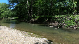 illinois creek fishing aj hauser roots