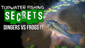 2 Topwater Fishing Secrets: Dingers vs Frogs?!