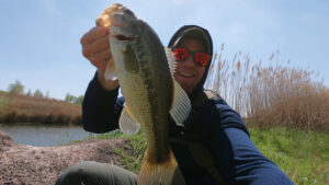 snapping turtle pond largemouth bass fishing illinois
