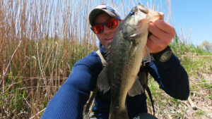 snapping turtle pond largemouth bass fishing illinois