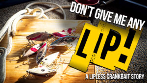 Don’t Give Me Any Lip! (A Lipless Crankbait Story)