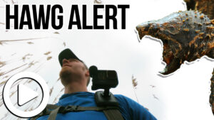 MONSTER BASS at Snapping Turtle Pond!