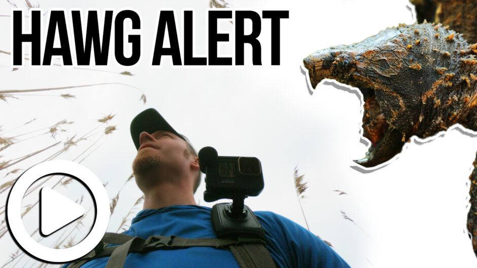 Snapping Turtle Pond Hawg Alert
