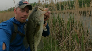 snapping turtle pond hawg alert big bass senko cht double wacky