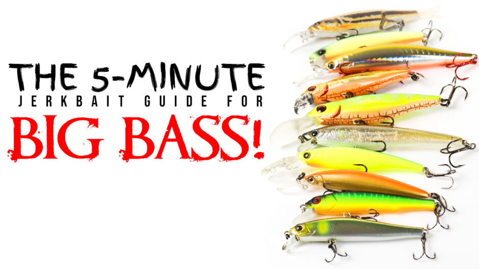 The 5-Minute Jerkbait Guide for Big Bass