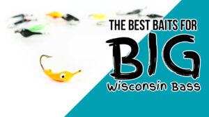 The Ultimate Guide: Best Baits for Big Wisconsin Bass (Minocqua Fishing Tips & Tackle + AJ’s Base Box)