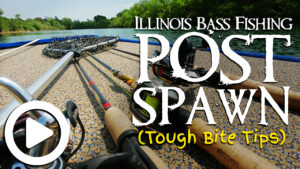 Illinois Bass Fishing During Post Spawn (Tough Bite Tips)