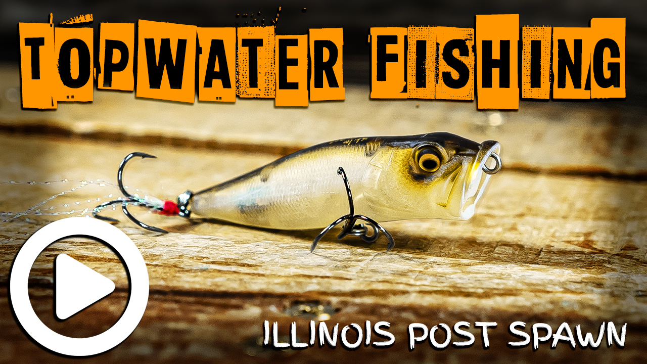 Illinois Topwater Bass Fishing (Post Spawn)