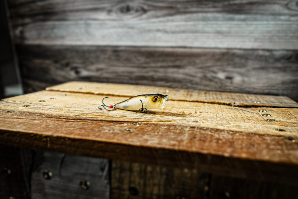 Megabass Pop-X Topwater