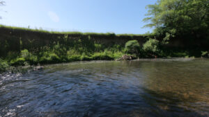 Creek Eddy Midwest Fishing Slack Water