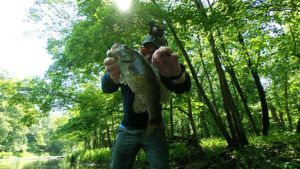 Illinois Creek Fishing Smallmouth Bass Popper Pop-X Megabass