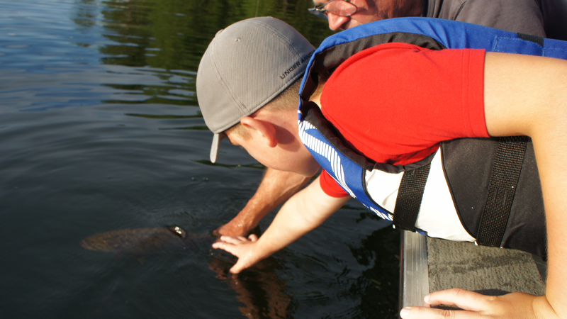fishing for bass with kids in wisconsin finn smallmouth release