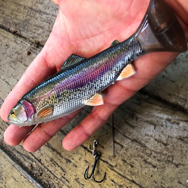 Jason Kaefer where to catch big bass 2 best seasons